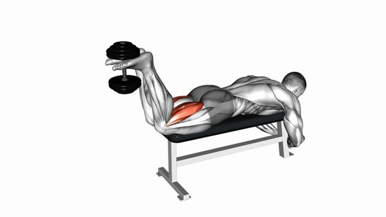 Common Dumbbell Lying Leg Curl variations Image