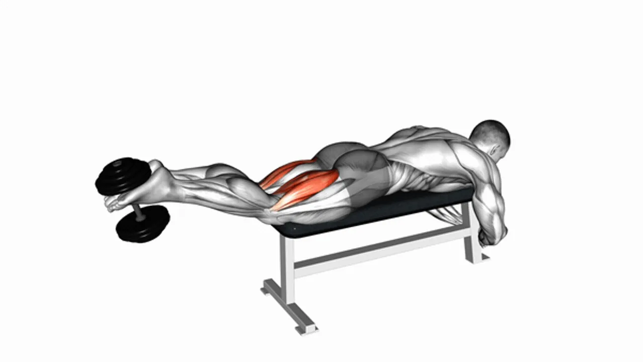 Dumbbell Lying Leg Curls