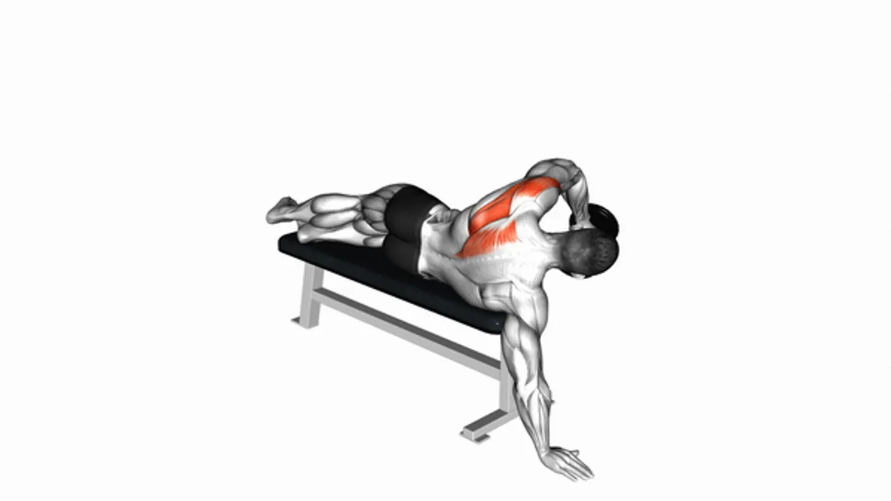 Dumbbell Lying One Arm Rear Deltoid Raise