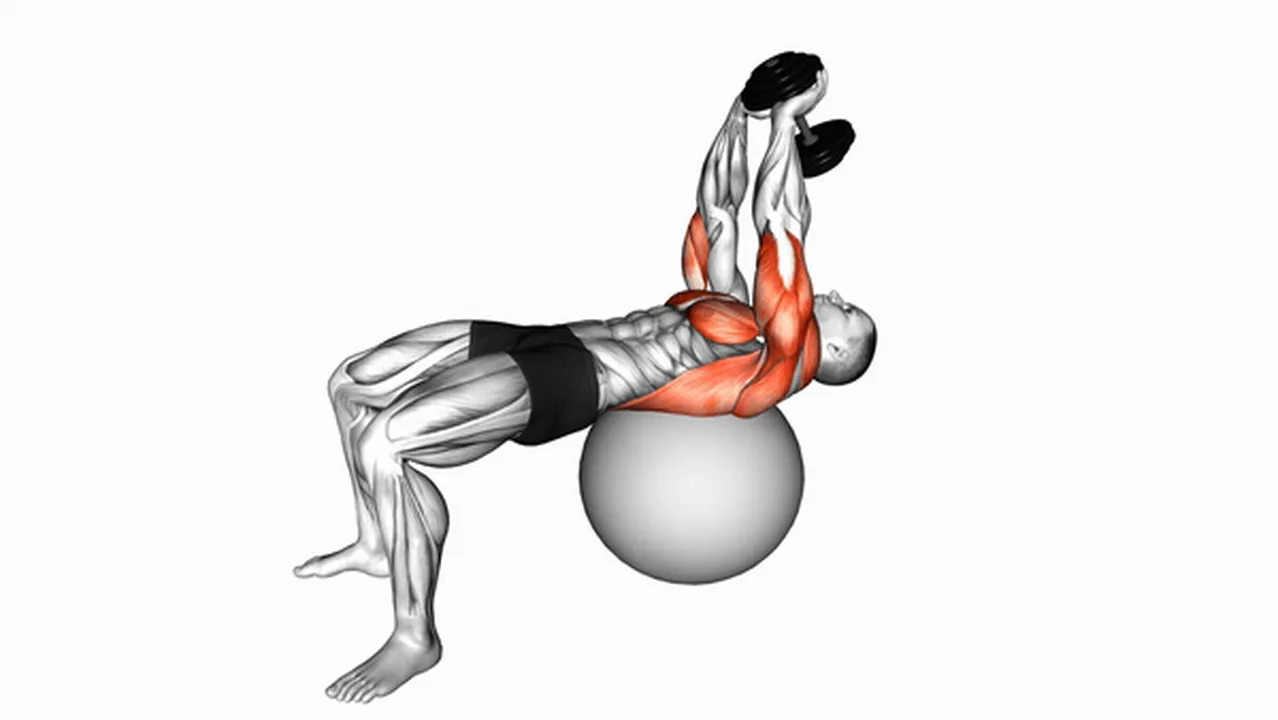 Common Dumbbell Lying Pullover on Exercise Ball variations Image