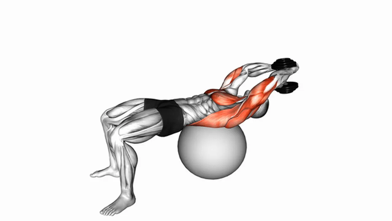 Alternatives to Dumbbell Lying Pullovers on Exercise Ball Image