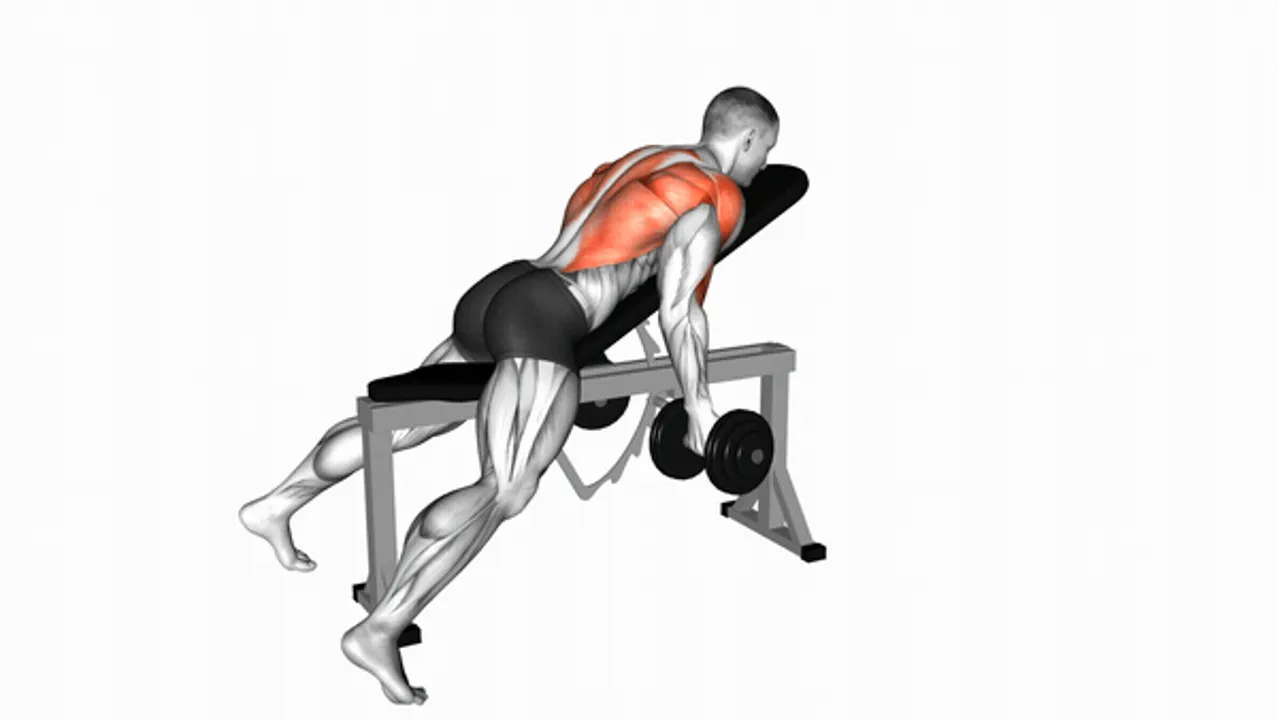 Dumbbell Lying Rear Delt Row