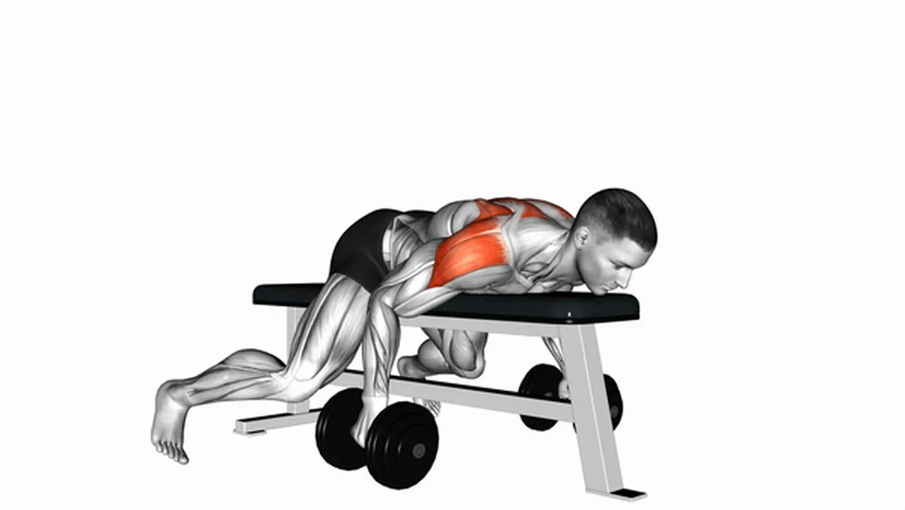 Alternatives to dumbbell lying rear lateral raises Image