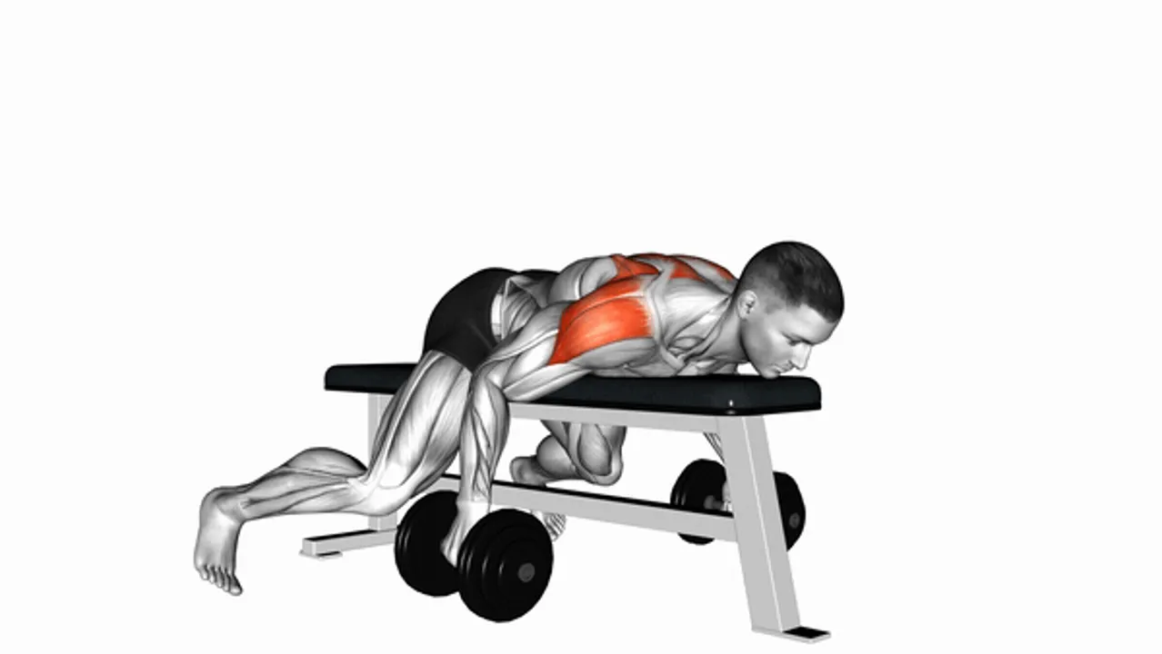 Dumbbell Lying Rear Lateral Raise