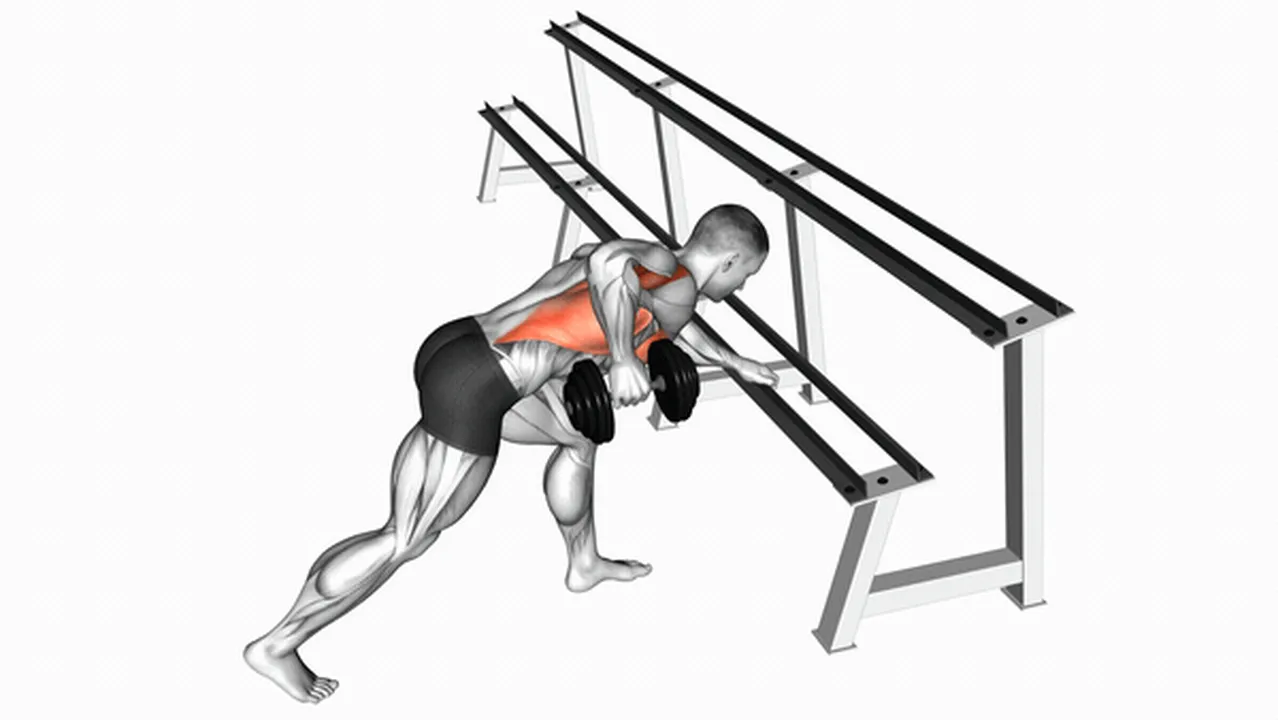 Common Dumbbell One Arm Row with Rack Support variations Image