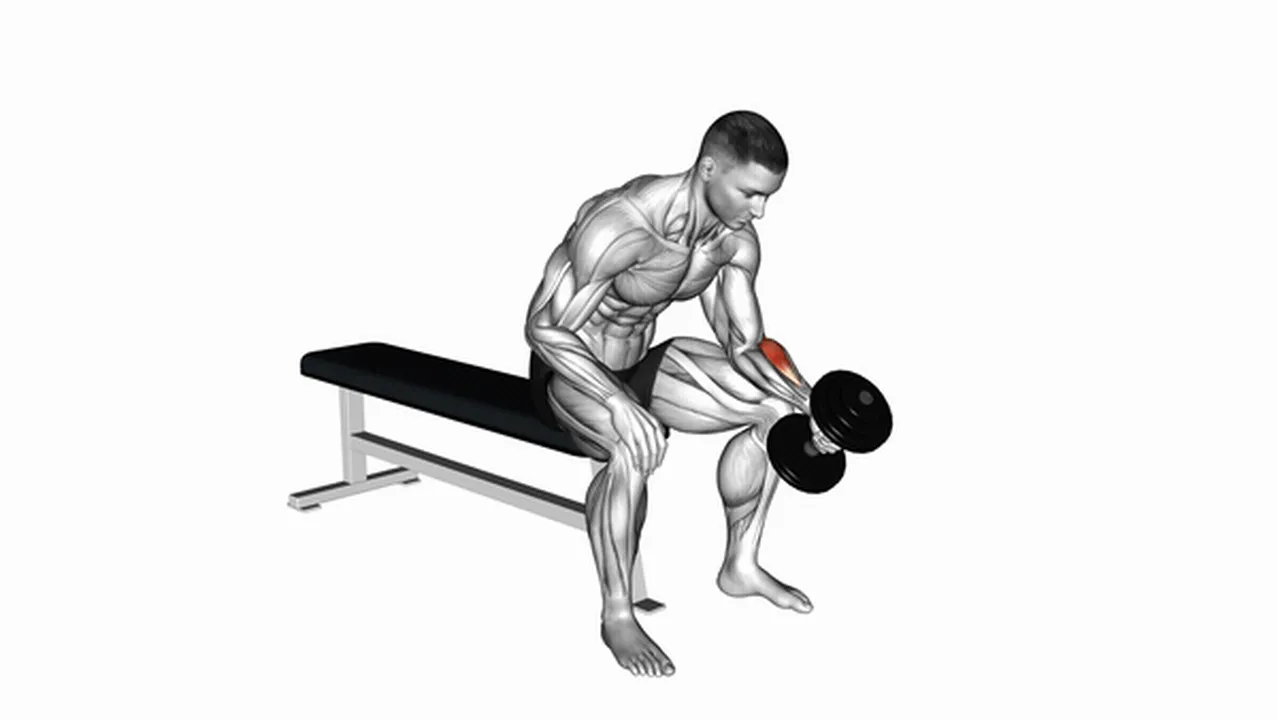 Benefits of Dumbbell One-Arm Seated Neutral Wrist Curl Image