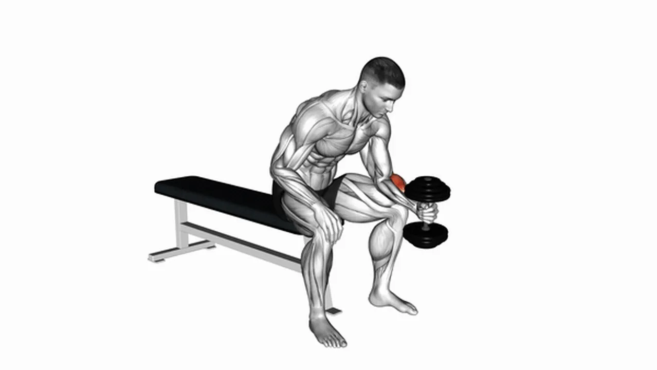 How to Perform Dumbbell One-Arm Seated Neutral Wrist Curl Image