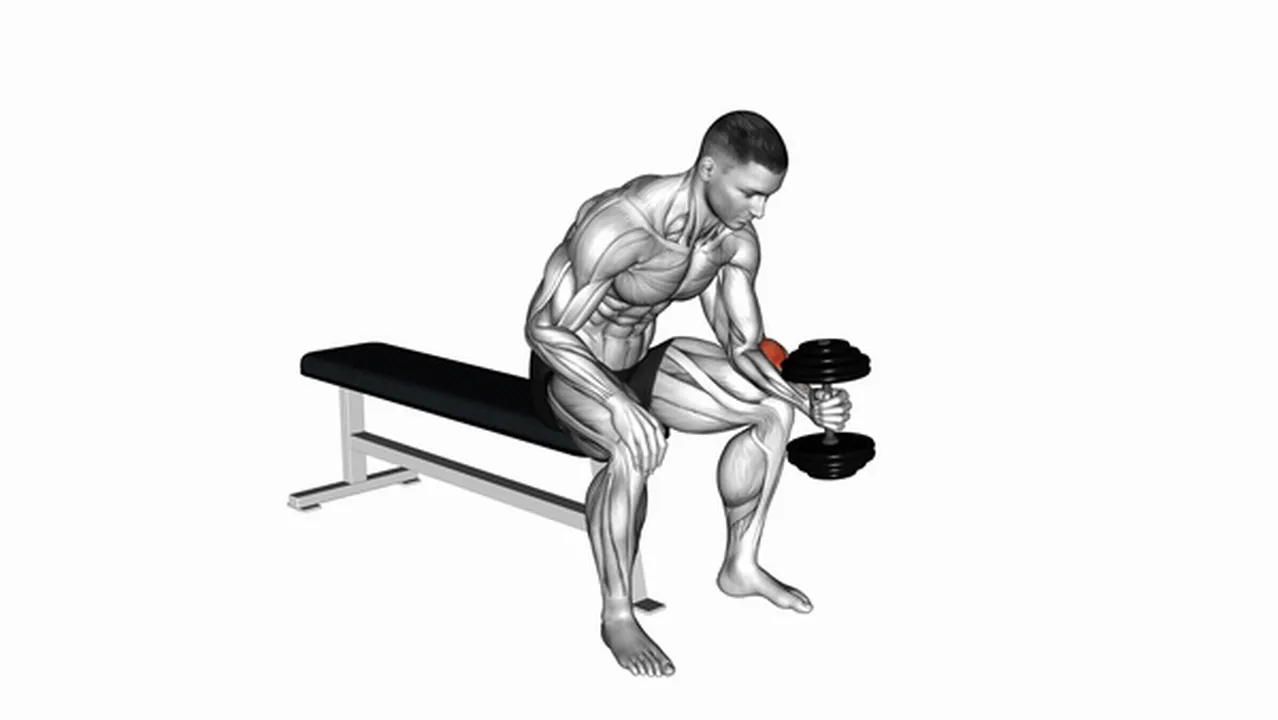 Alternatives to Dumbbell One-Arm Seated Neutral Wrist Curl Image