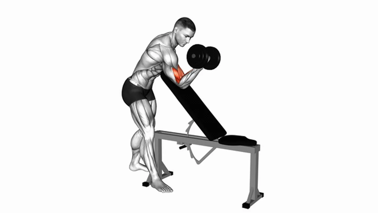 Common Dumbbell One Arm Zottman Preacher Curl variations Image