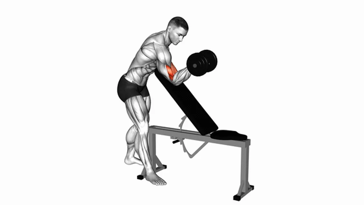 Alternatives to Dumbbell One Arm Zottman Preacher Curls Image