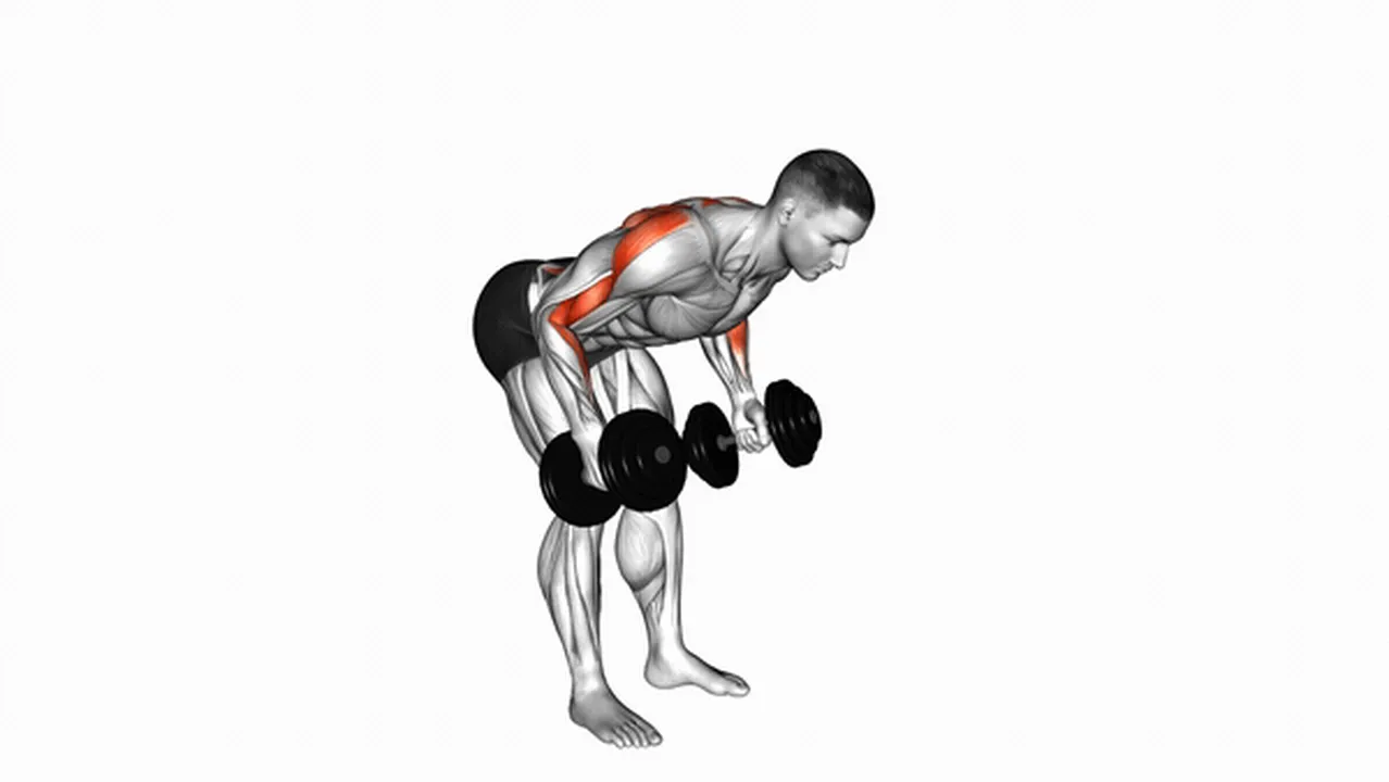 How to do Dumbbell Palm Rotational Bent Over Row? Image