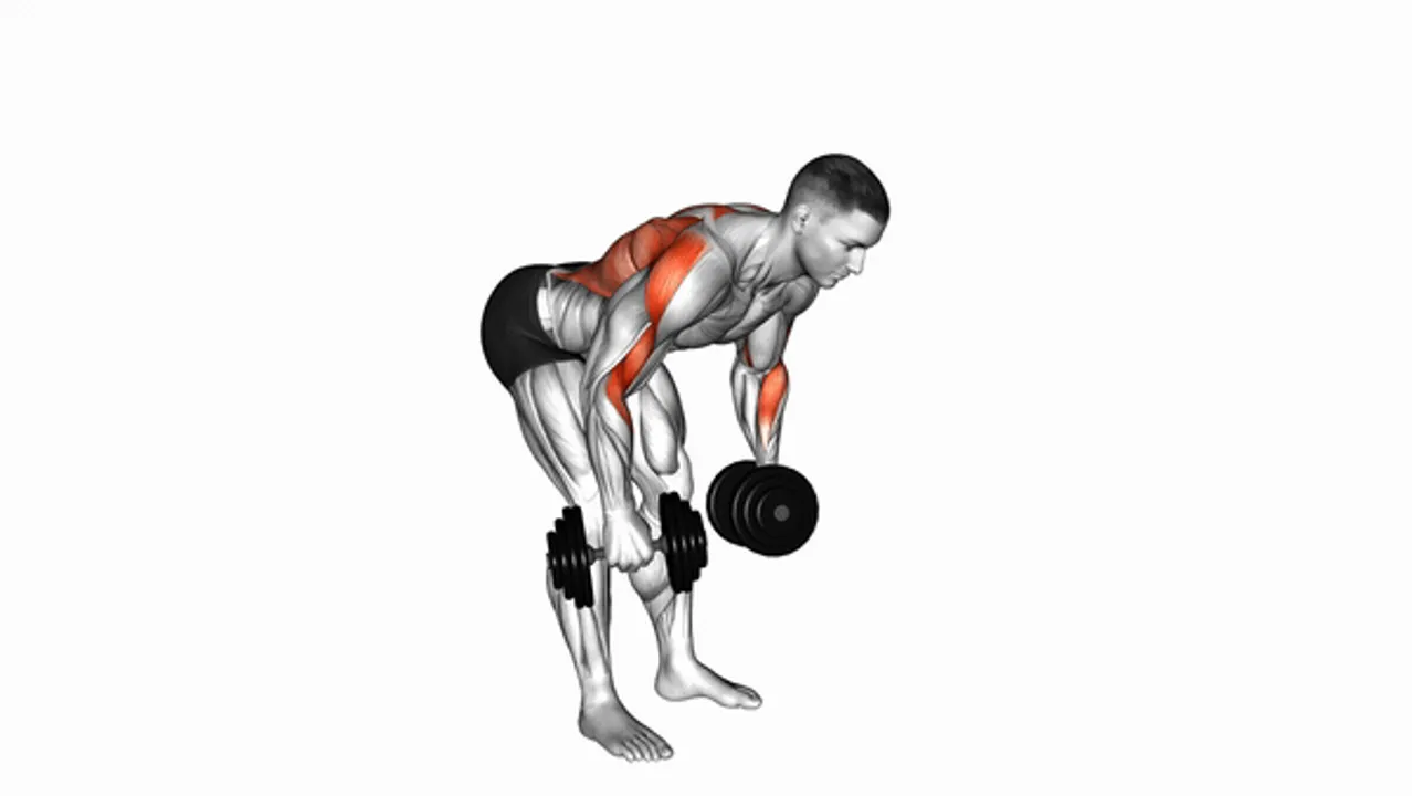 Dumbbell Palm Rotational Bent Over Row