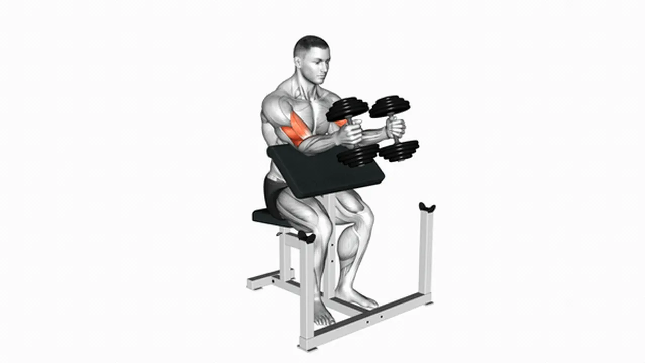 What are the benefits of Dumbbell Peacher Hammer Curls? Image