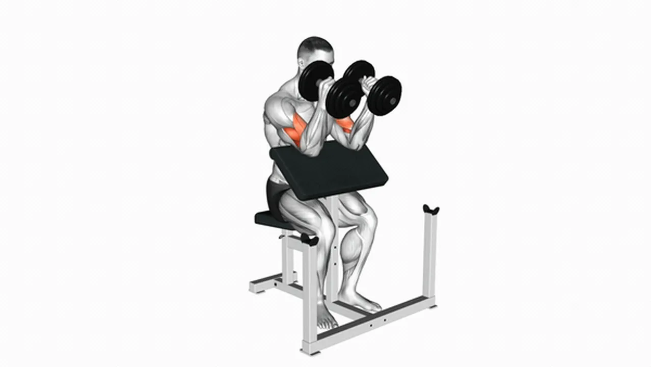 Common Dumbbell Peacher Hammer Curl variations Image