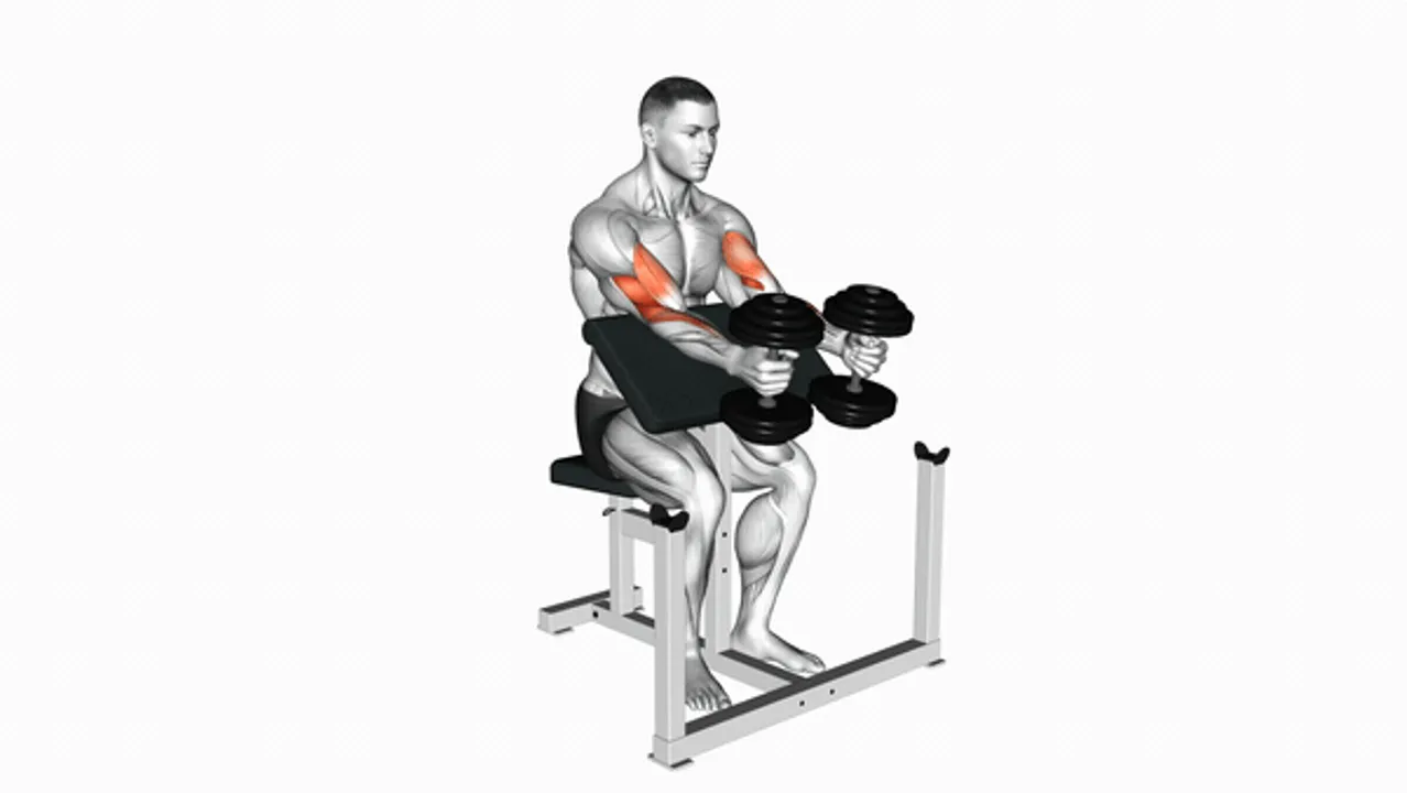 Dumbbell Peacher Hammer Curls