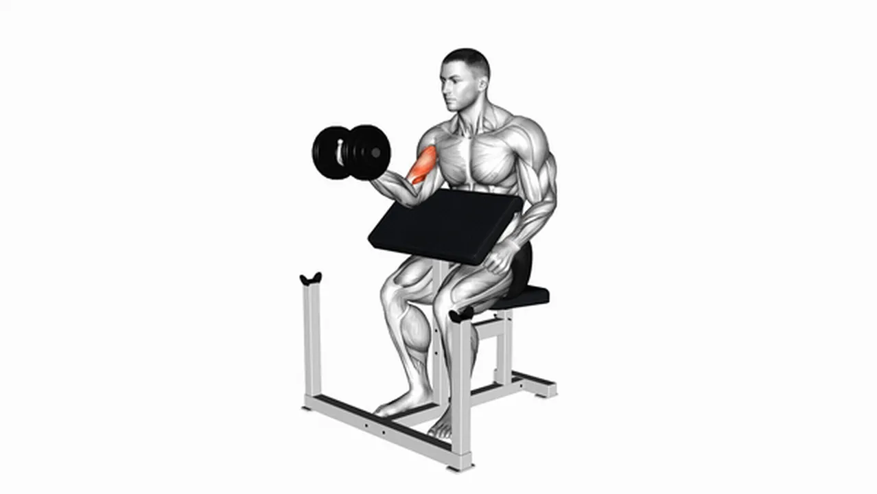 What are the benefits of dumbbell preacher curls? Image