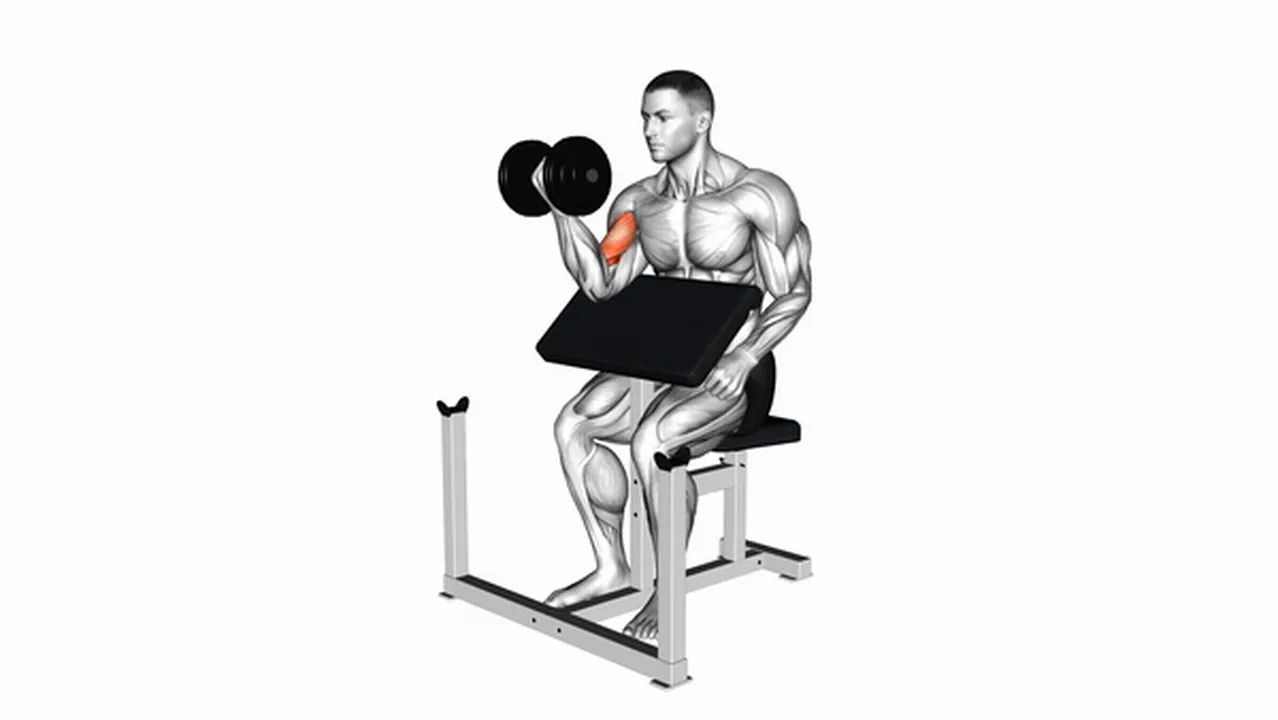 Common dumbbell preacher curl variations Image