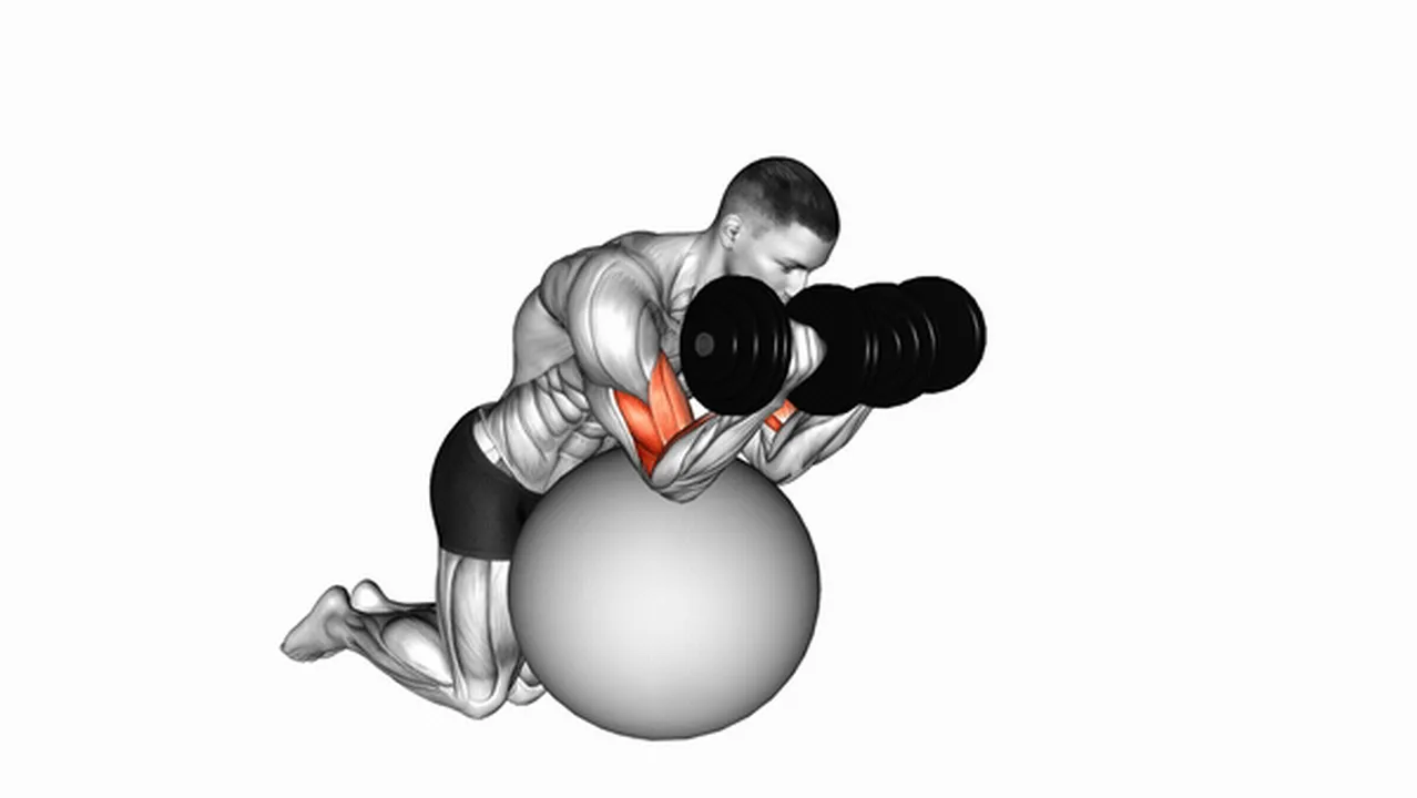 Alternatives to Dumbbell Preacher Curls on Exercise Ball Image