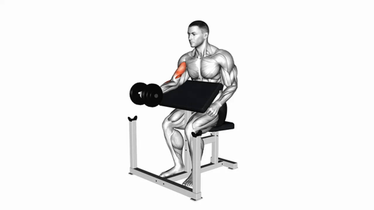 Dumbbell Preacher Curl