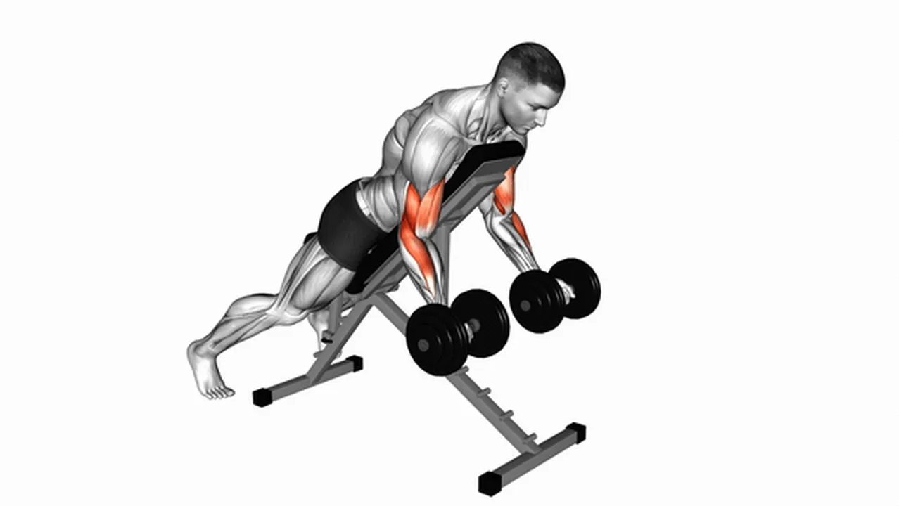 Alternatives to Dumbbell Prone Incline Curls Image