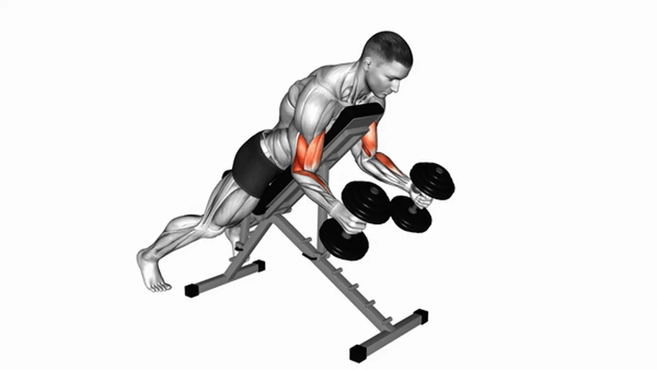 Common dumbbell prone incline hammer curl variations Image