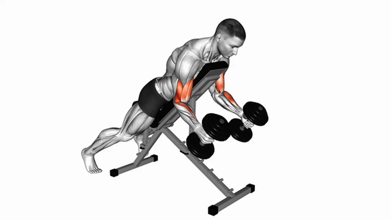 Alternatives to dumbbell prone incline hammer curls Image