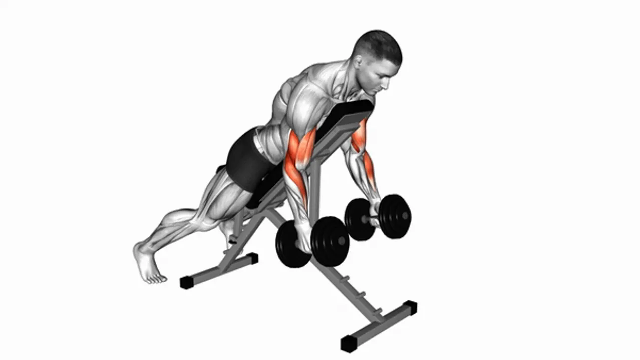 Dumbbell Prone Incline Hammer Curl