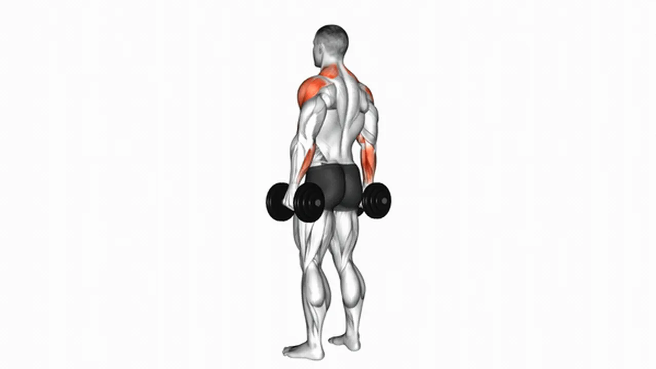 Common mistakes during Dumbbell Rear Delt Raises Image