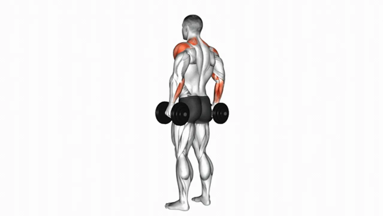 Dumbbell Rear Delt Raise