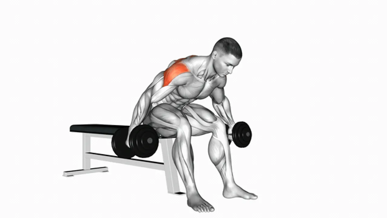 Dumbbell Rear Fly