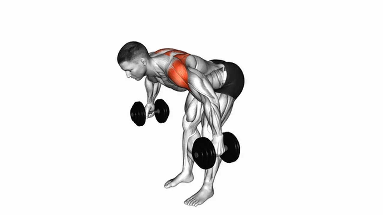 Common Dumbbell Rear Lateral Raise variations Image