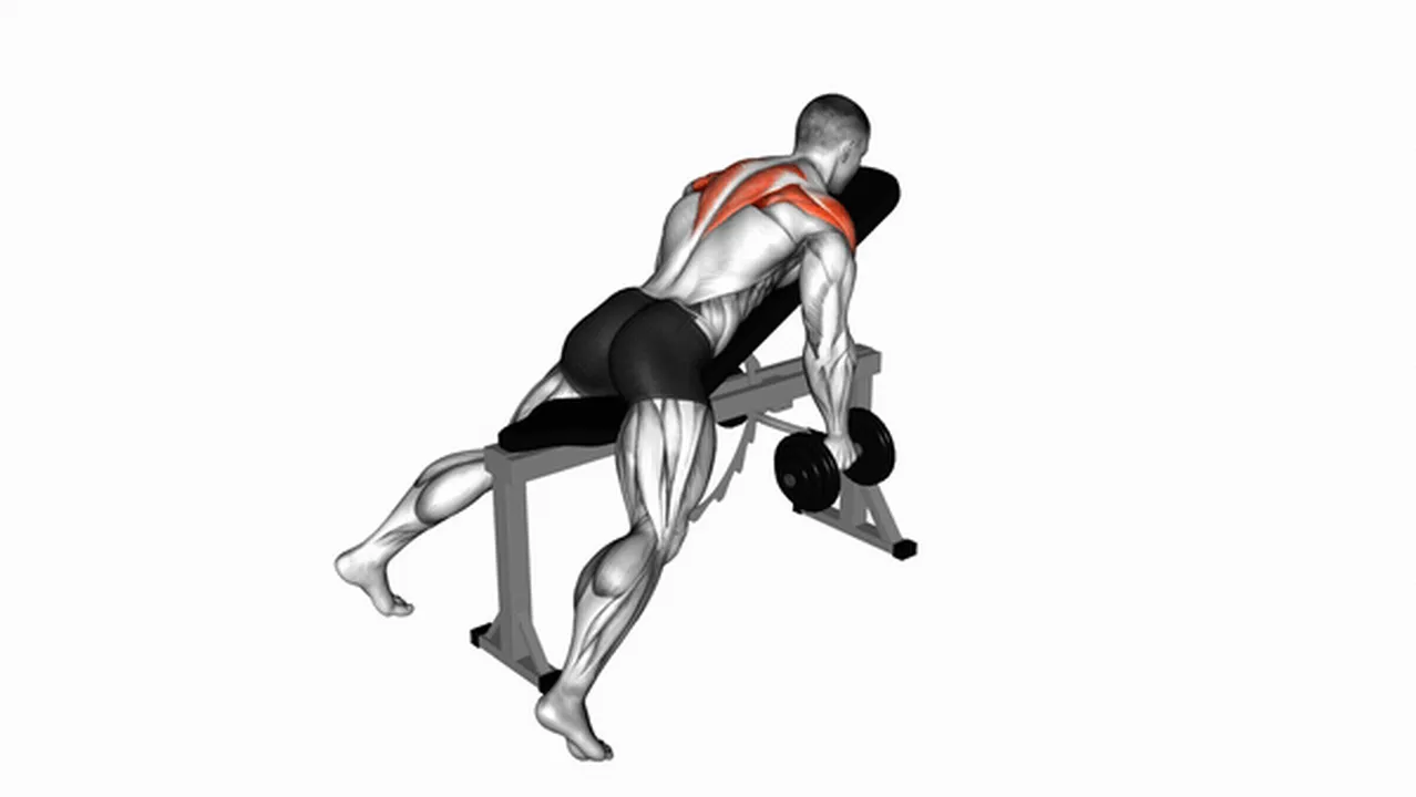 What are the benefits of Dumbbell Reverse Flys? Image