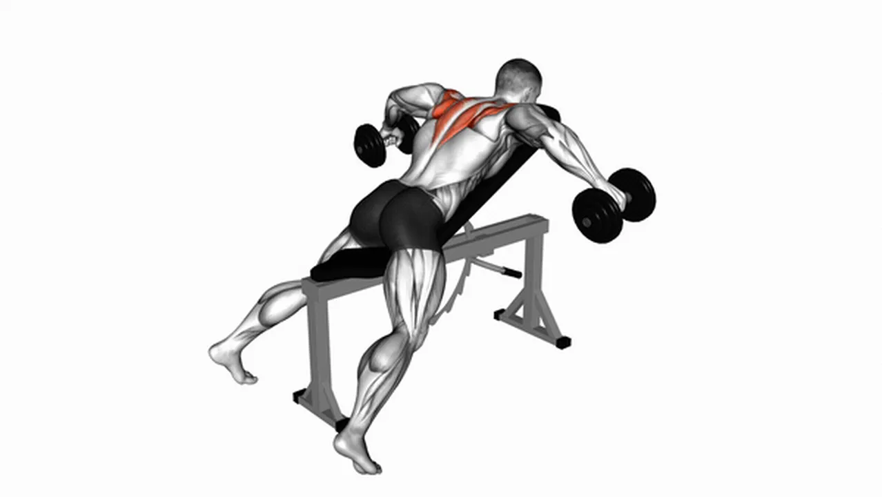 Common Dumbbell Reverse Fly variations Image