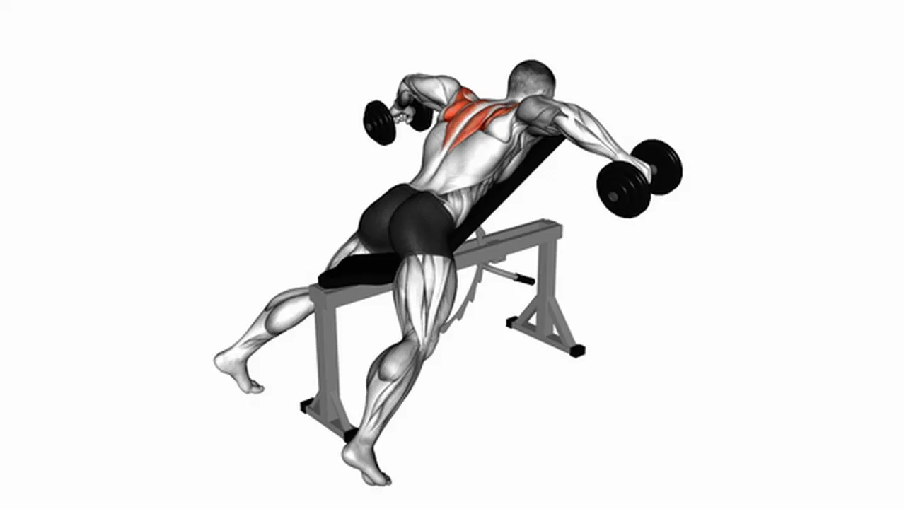 Alternatives to Dumbbell Reverse Flys Image