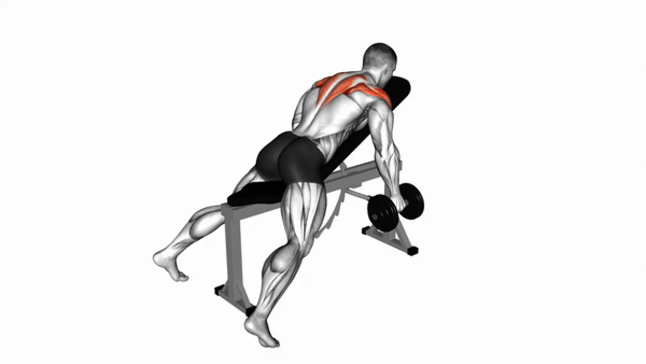 Dumbbell Reverse Fly