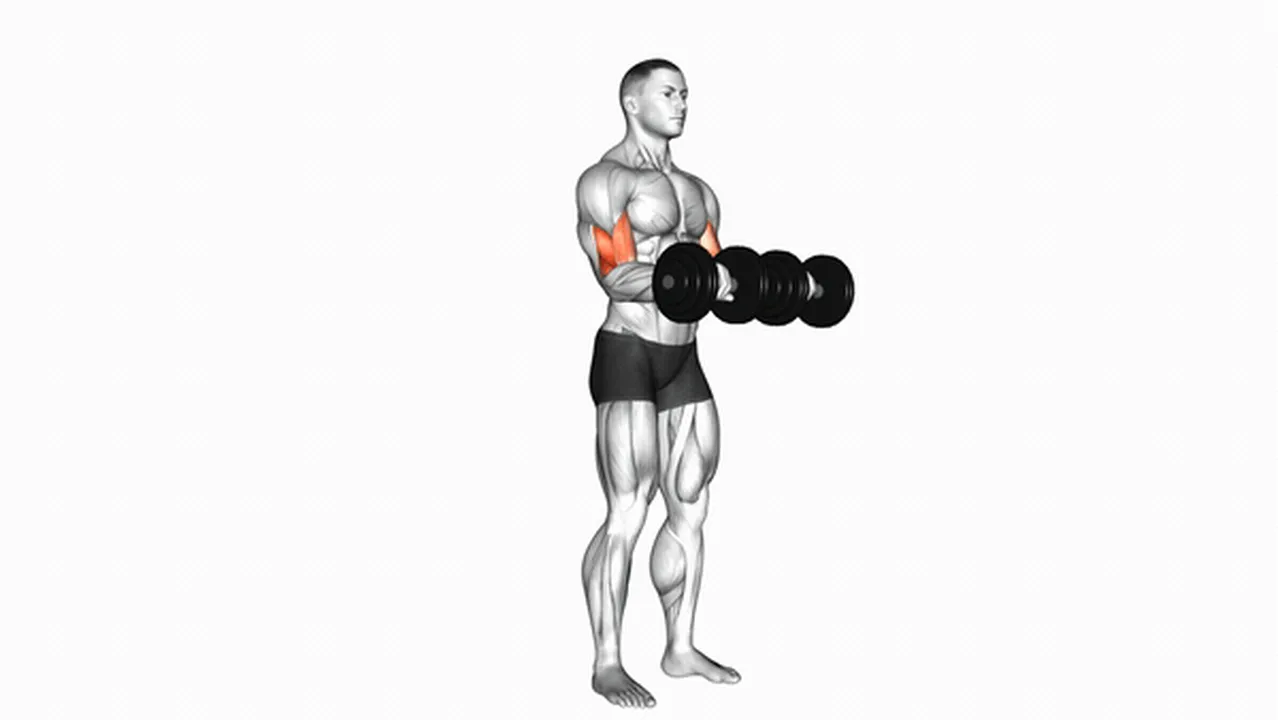 What are the benefits of Dumbbell Reverse Grip Biceps Curls? Image