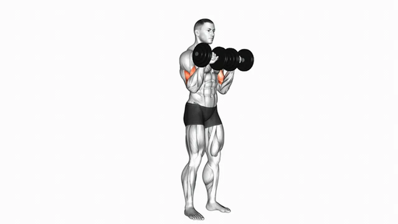 How to do Dumbbell Reverse Grip Biceps Curls? Image