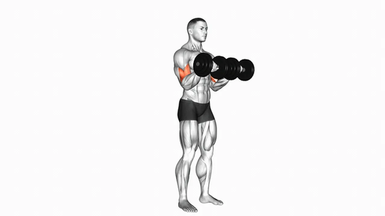 Common Dumbbell Reverse Grip Biceps Curl Variations Image