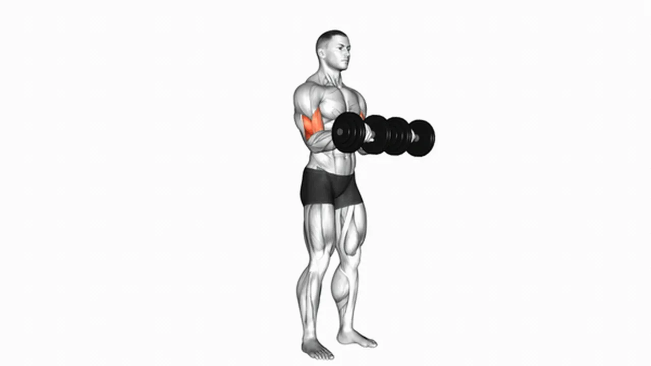 Alternatives to Dumbbell Reverse Grip Biceps Curls Image