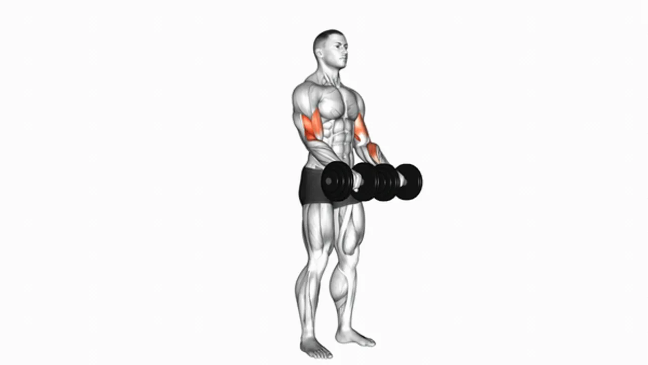 Dumbbell Reverse Grip Biceps Curl