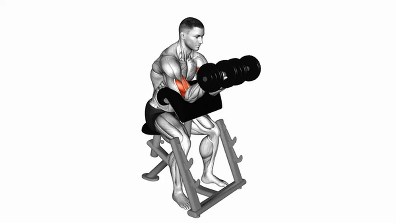 Common dumbbell reverse preacher curl variations Image