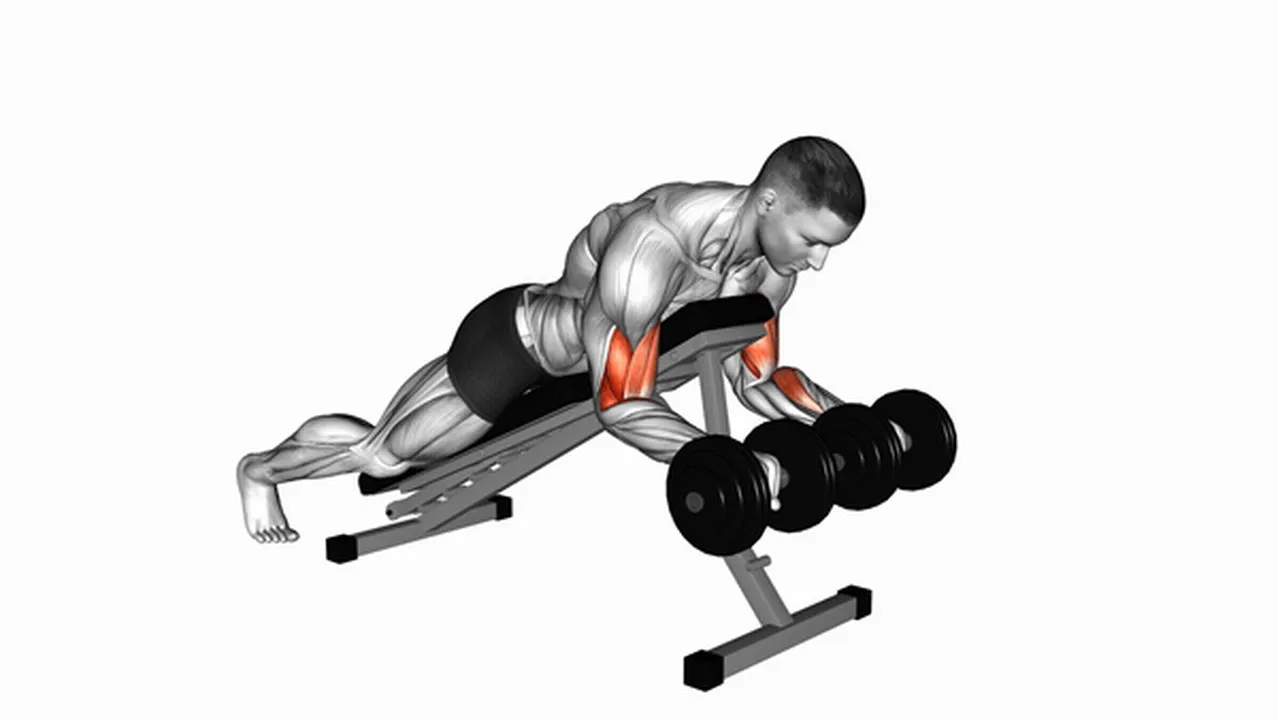 Alternatives to dumbbell reverse spider curls Image