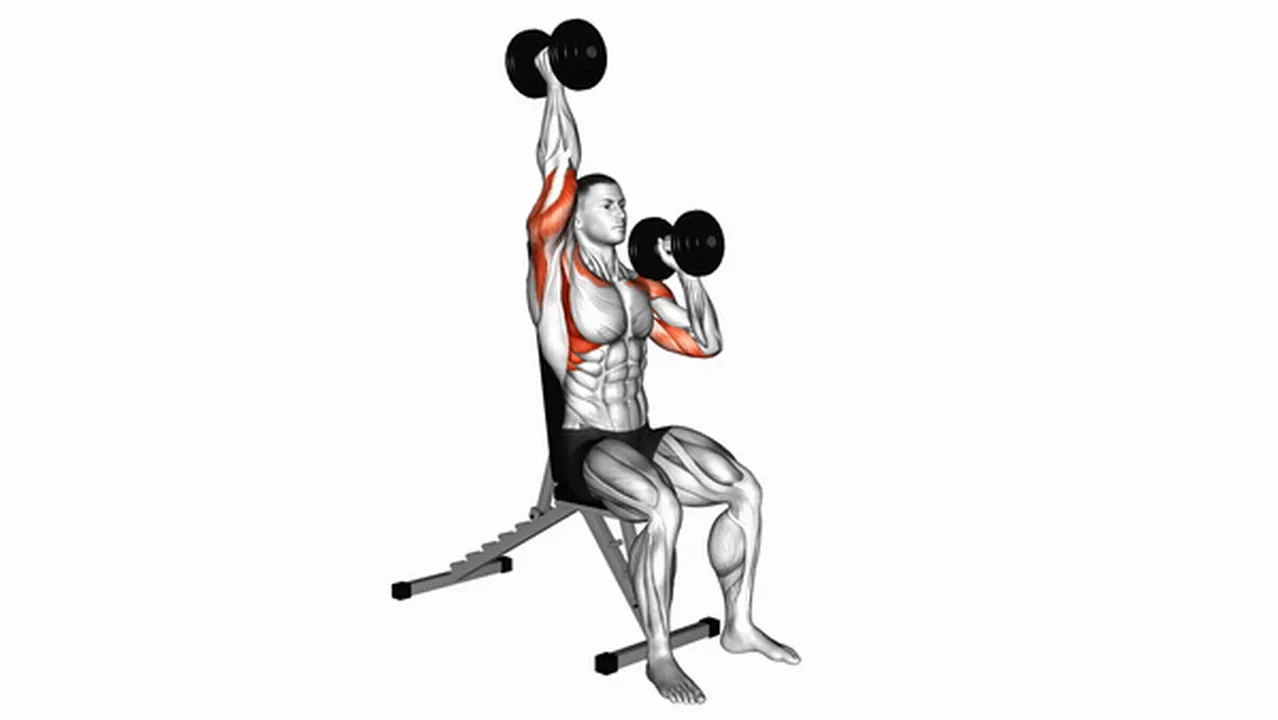 Common Dumbbell Seated Alternate Press variations Image