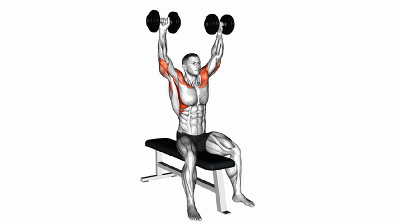 Alternatives to dumbbell seated bench press Image