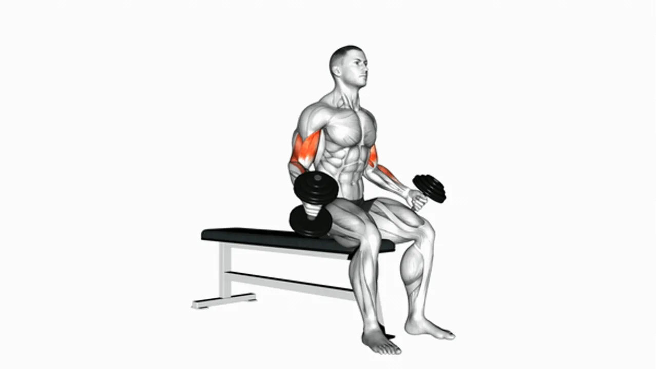 Dumbbell Seated Curl