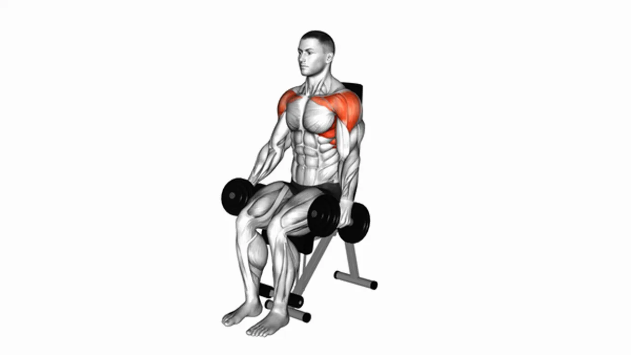 Dumbbell Seated Front Raise