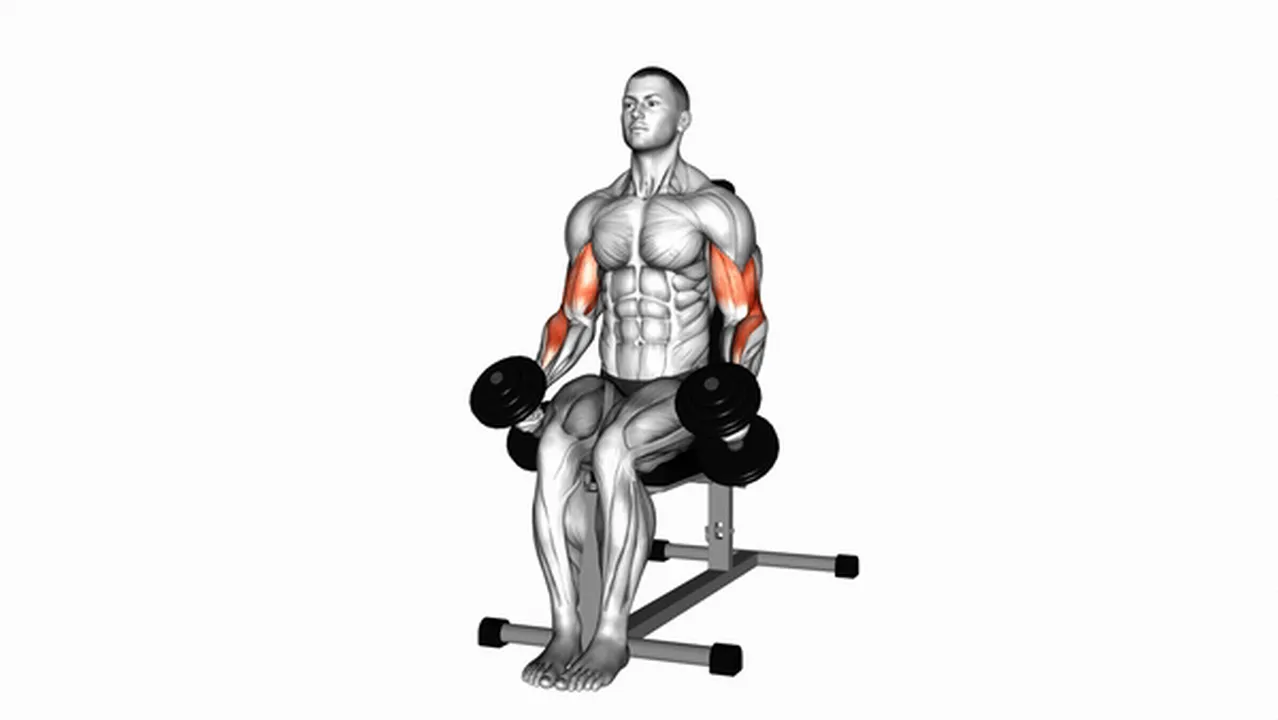 Benefits of Dumbbell Seated Hammer Curls Image