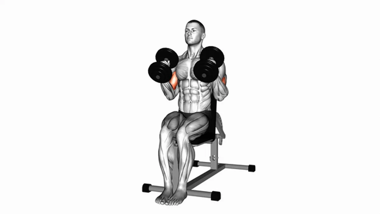 How to Perform Dumbbell Seated Hammer Curls Image