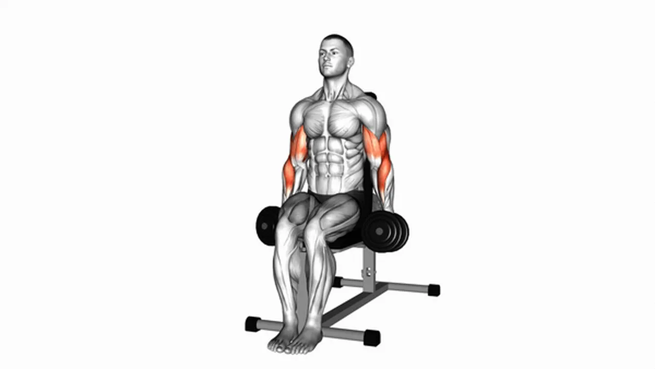 Alternatives to Dumbbell Seated Hammer Curls Image