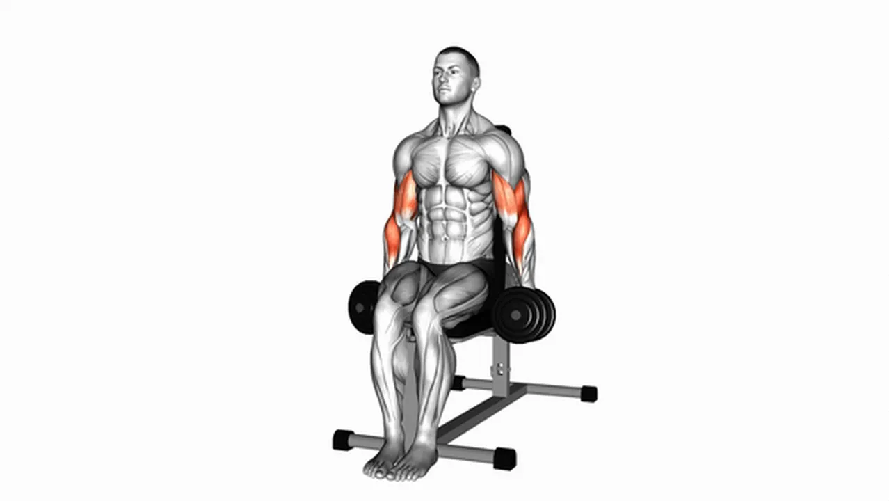 Common Mistakes During Dumbbell Seated Hammer Curls Image